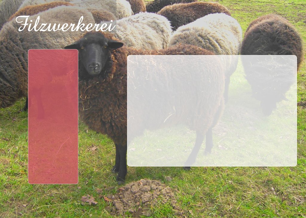 Schafe f�r die Filzwolle